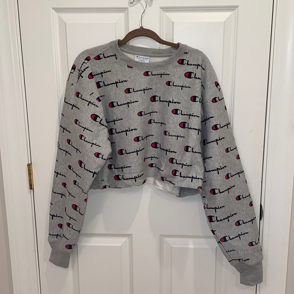 NWOT Cropped Champion Hoodie